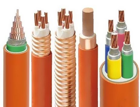 �㶫k8��������Ӯ��һ������ʵҵ���޹�˾