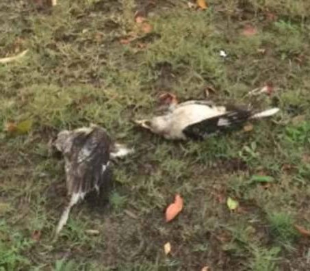 �㶫k8��������Ӯ��һ������ʵҵ���޹�˾