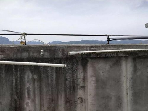 ������Ҳ��͵