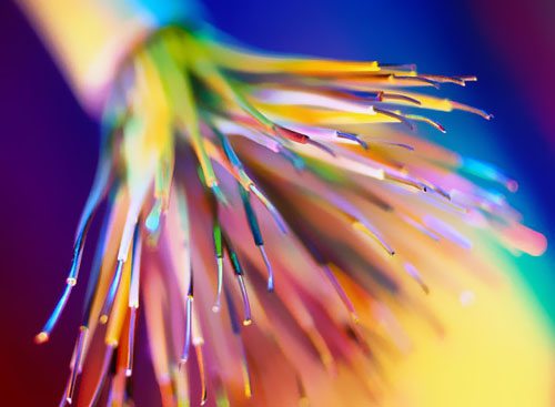 �а͹��˵�����Ŀһ�ڹ���������ǰһ���깤