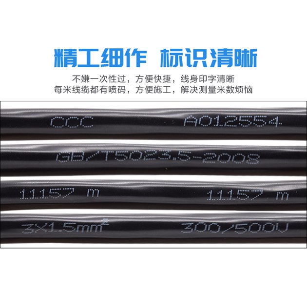 ������RVV�������͹淶�ƻ�