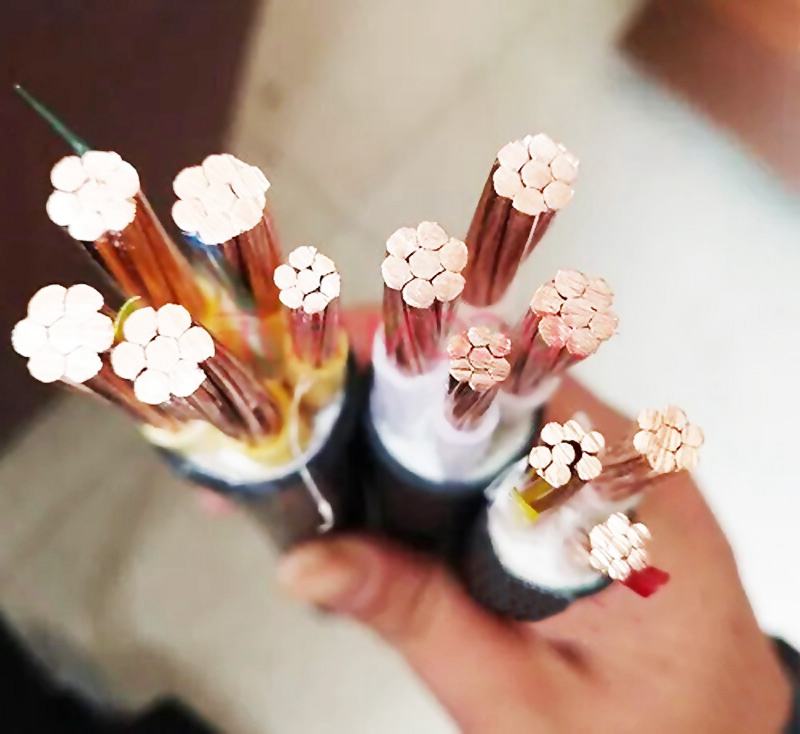 ������֪ʶ